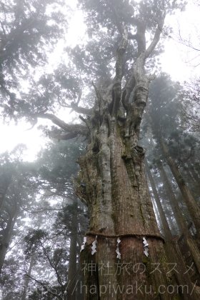 玉置神社