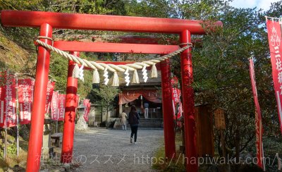 玉置神社