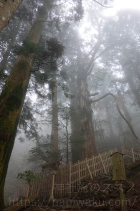 玉置神社