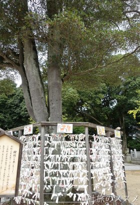 阿智神社