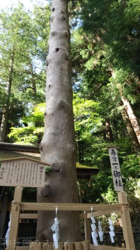 諏訪大社下社