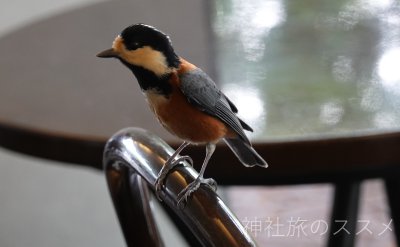 神椿カフェ