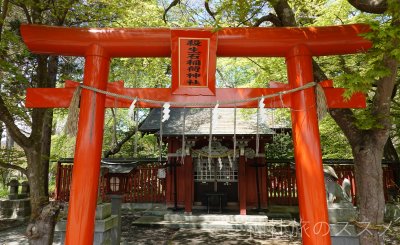 伊佐須美神社