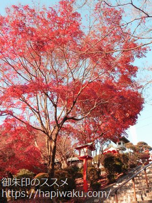 織姫神社の紅葉