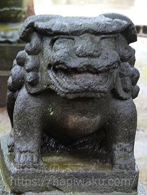 赤坂氷川神社の狛犬