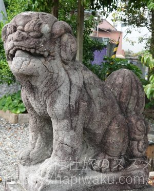 小津神社の狛犬