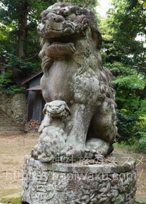倉吉八幡宮の狛犬