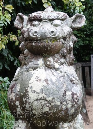 椙本神社の狛犬