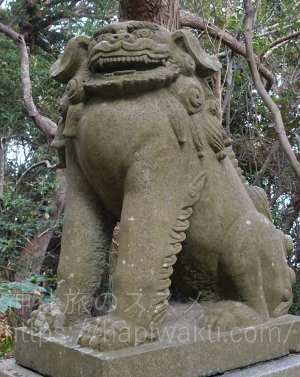 志賀海神社の狛犬