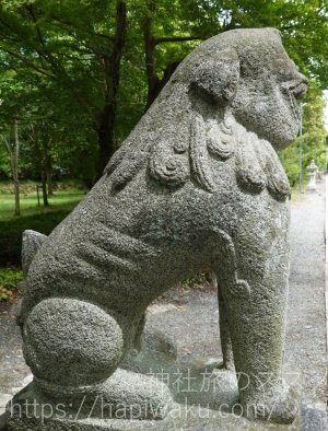 中山神社の狛犬