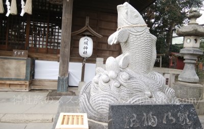 栗橋八坂神社の狛鯉