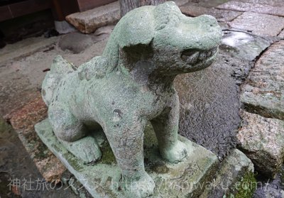 賣沼神社の狛犬