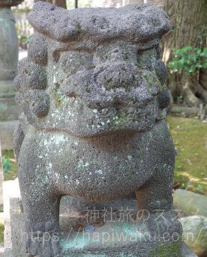 赤坂氷川神社の狛犬