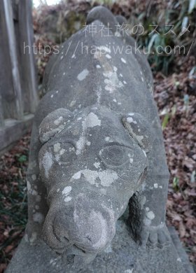 武蔵御嶽神社の狛犬