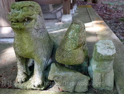 菅生石部神社のはじめ狛犬