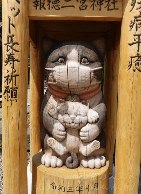 今市報徳二宮神社の猫