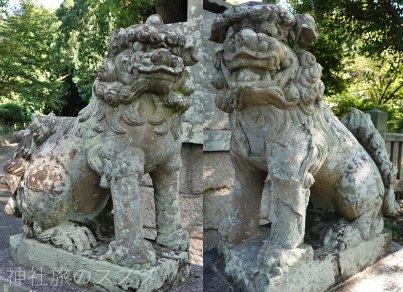 阿智神社の狛犬