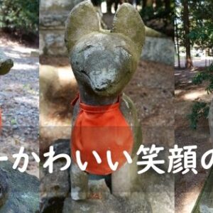 【福島狛犬巡り】松山稲荷神社の日本一カワイイ笑顔の狛狐に癒やさる