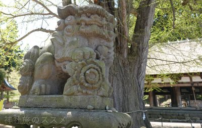 新宮熊野神社の狛犬