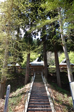 新宮熊野神社の御朱印