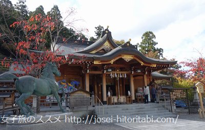 丹生川上神社上社にバスツアーで参拝して感じたメリットとデメリット