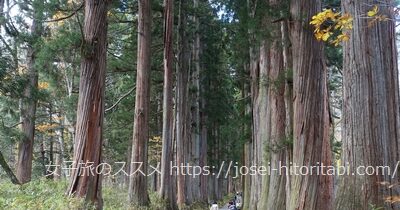 戸隠神社
